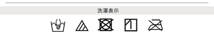 シルクモールドブラ洗濯表記